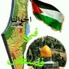 ibrahimmohamed5672