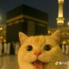 azra_2807