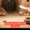 user1419919694426