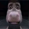 daandegroot05