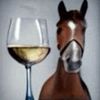 horse.girl312
