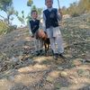 thakurisingh157