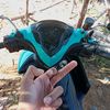 punya_tiiampi