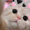 khnsaynn__