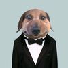 pupseditz