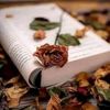 fatima.salih435