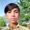 shahid.khan3493