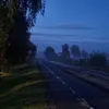 eleanikd