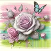 user7811025656112