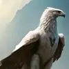 ayat.zr7