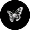 user093168132