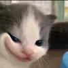 nankk2222