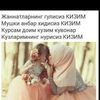 user7722152034635