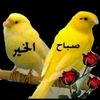 user8225061610948