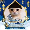 arkandanish12