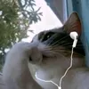 tttl.0.0