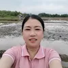 user2526212060