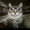jskurgsgjwbsjb