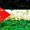 husam.aljabri8