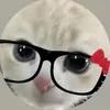 camil__380