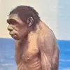 lowcapsniper5
