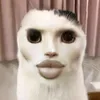 zackcqq