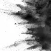 echoium