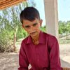kashi_don52