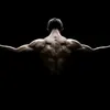 disciplina._1