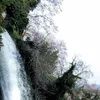 user1991314569