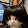 xiao.mu90