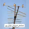 user5633408474824