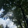 nur.aiym_1