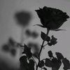 _s.n.s_001