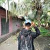 pian_dapss