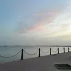 jna_365