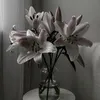 w4sg0od