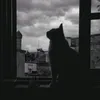 ilychip.1403