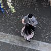 jo_ab_19_14