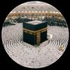 kashif.malik1791