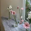 trnthim25