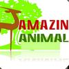 Amazing-animals