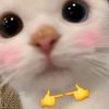 ayaka_899