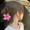 hafsa7479