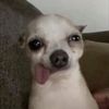 ️