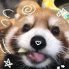 mfaonxbox