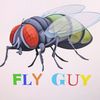 heyitsflyguy