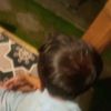 here.faris