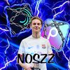 zdsrtz