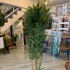 rumah.informa